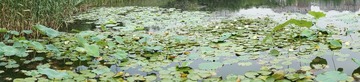 DSC00264.JPG