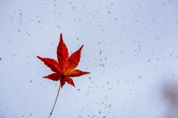 DSC_0849-1