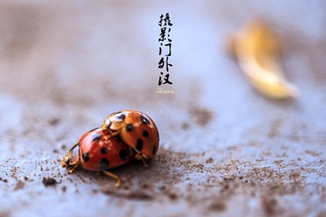 676609