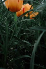 001