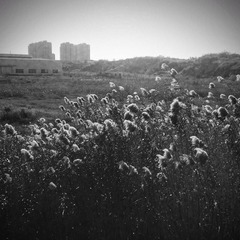 yizhiyingxiang-4_