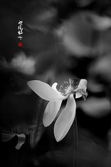 20140628-_G1T7801-2_