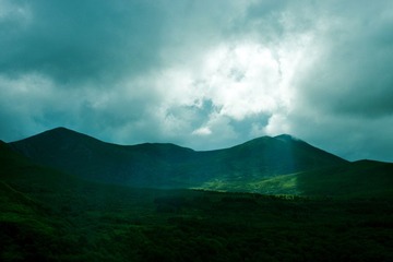 DSC09208.jpg