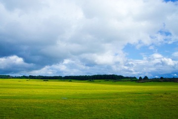 DSC07767.jpg