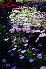 阳光