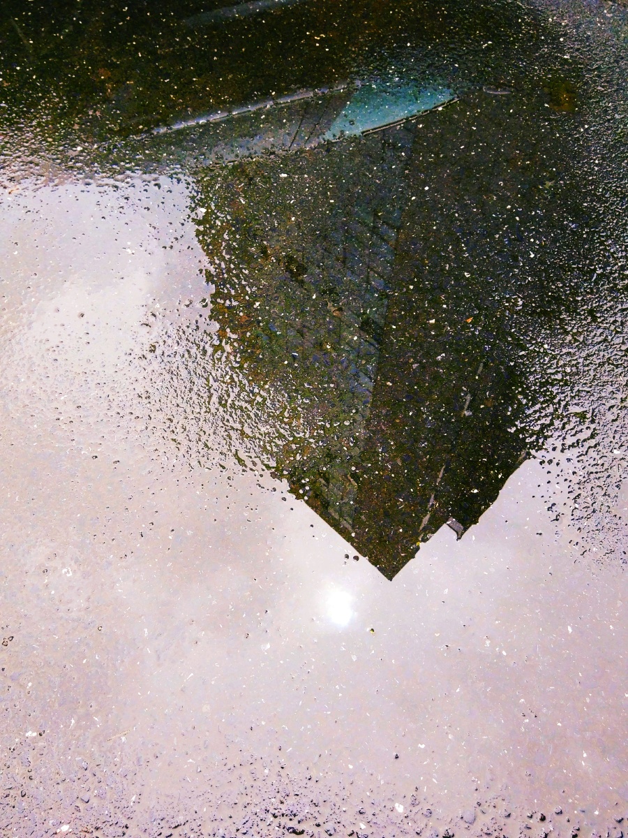 雨后.倒影