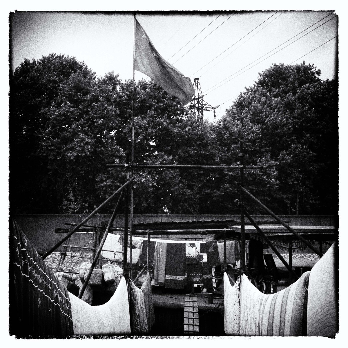 _1290494<br />