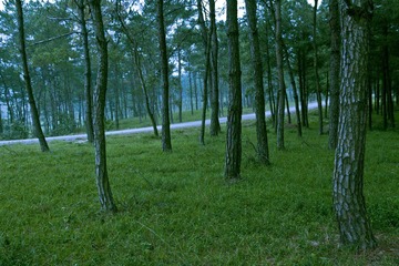 _MG_3042.jpg