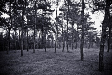 _MG_3040.jpg