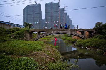 _MG_3116.jpg