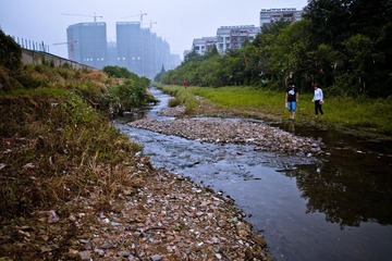 _MG_3127.jpg