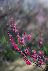  试镜02