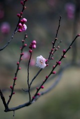  试镜03