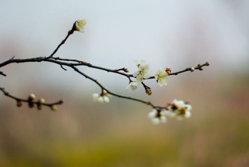 试镜08