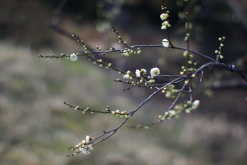  试镜09