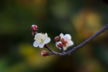  试镜10