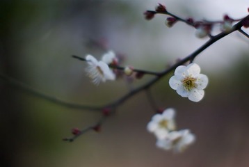  试镜11