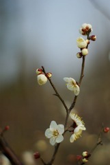  试镜06