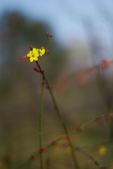  试镜07