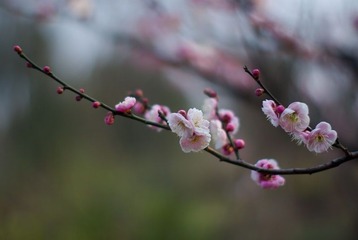  试镜12