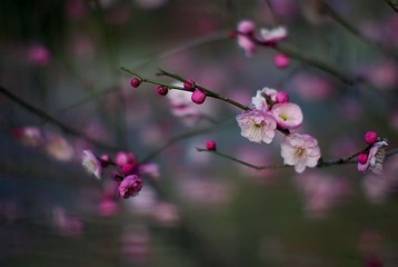 试镜13