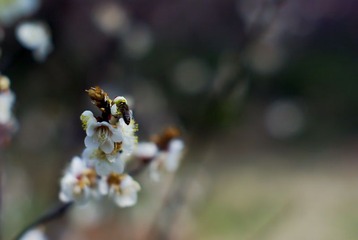  试镜14