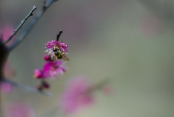 试镜15