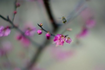 试镜16