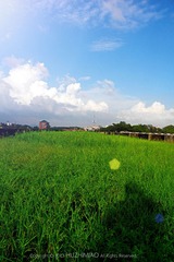 DSCN9976-1.jpg