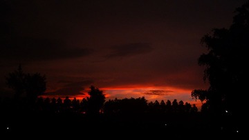 DSC_1234(1)