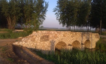 IMG_20130530053010.jpg