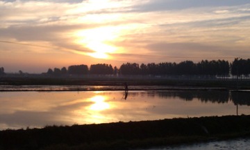 IMG_20130531051112.jpg