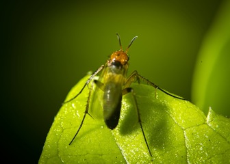 997450