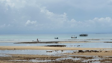 83257249-2C22-48CA-BCD7-DD06C5C60D81/L0/001