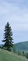 BC456F47-9123-4EC9-8471-23227C8D85BD/L0/001