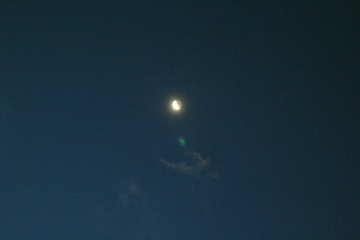 IMG_3202.jpg