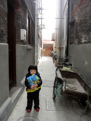 小小蘑菇