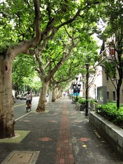  不愿走出这条路     