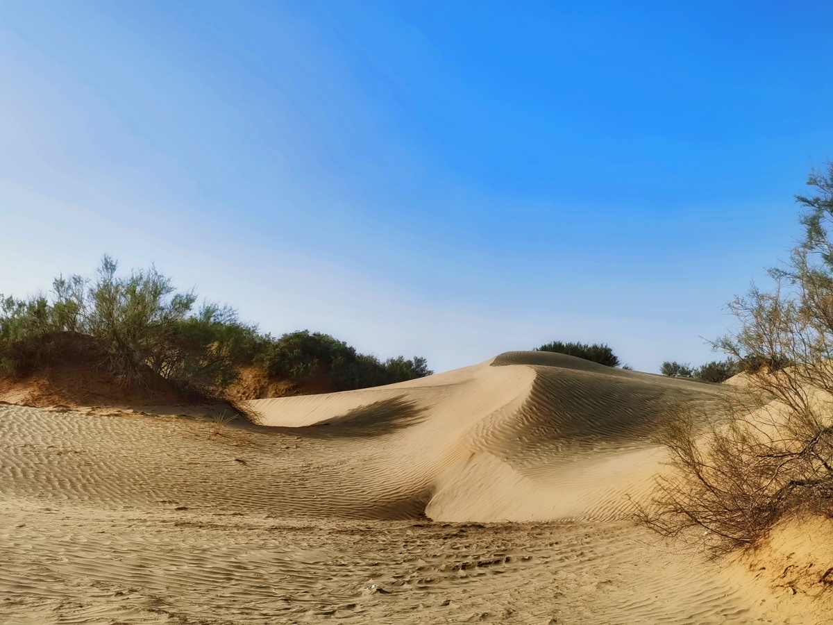 新疆和田沙漠公路