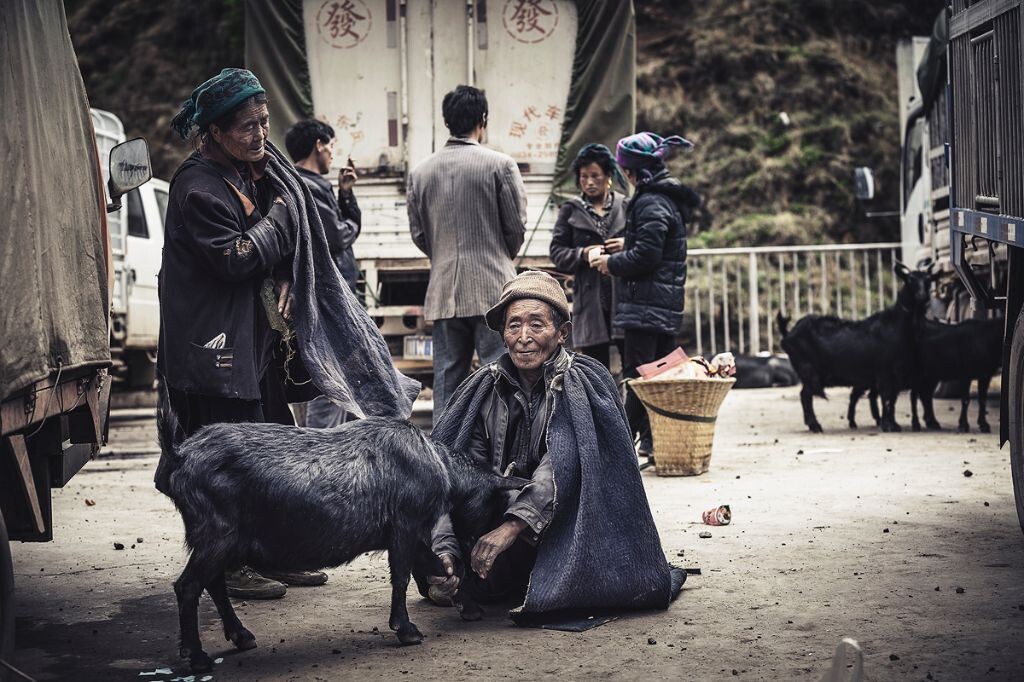 大爷和大妈好像为到底卖不卖这只羊争吵了起来,大爷还是挺有绅士风度的,一直不做声!