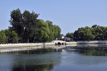 IMG_4819x