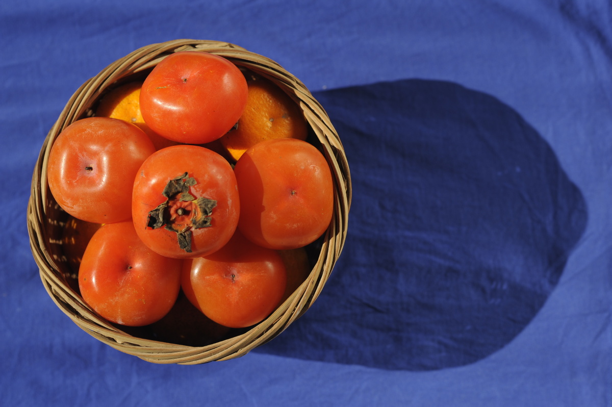 软柿子秋冬水果