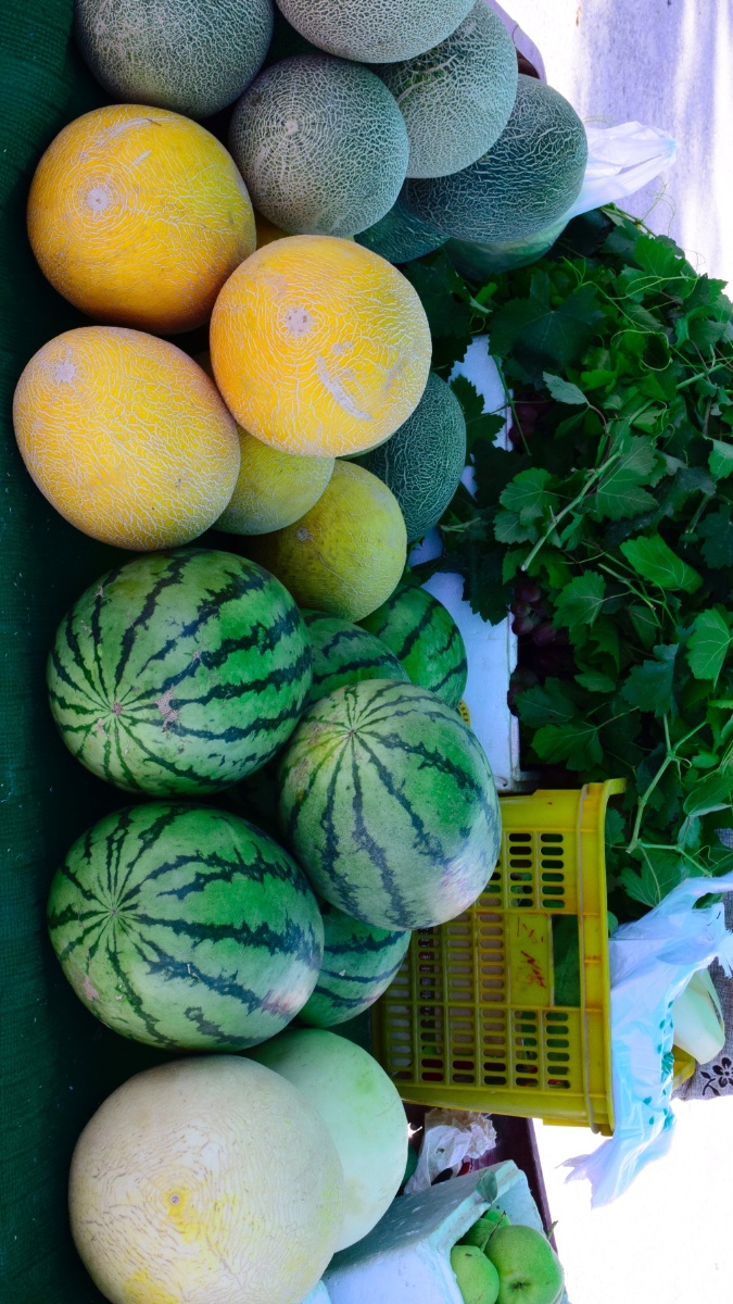 甘肃 瓜州 瓜 - 自游影像 - 图虫