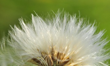 5E323630-F8A0-45DB-8BFF-01E418C9FD84/L0/001