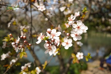 DSC_00691.jpg