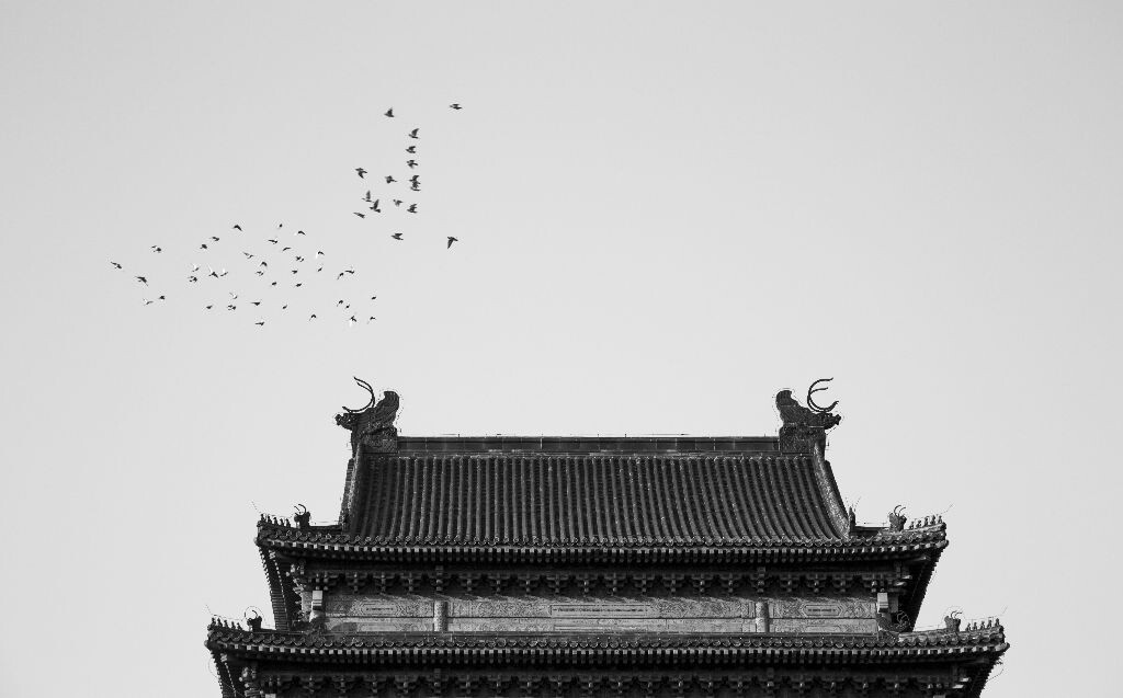 钟楼燕遇