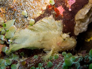 IMG_1568-1