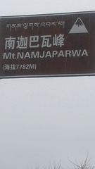 1432753