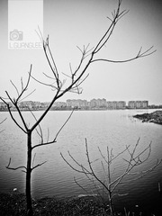 RIMG0022