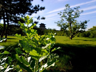 DSCN2711.JPG